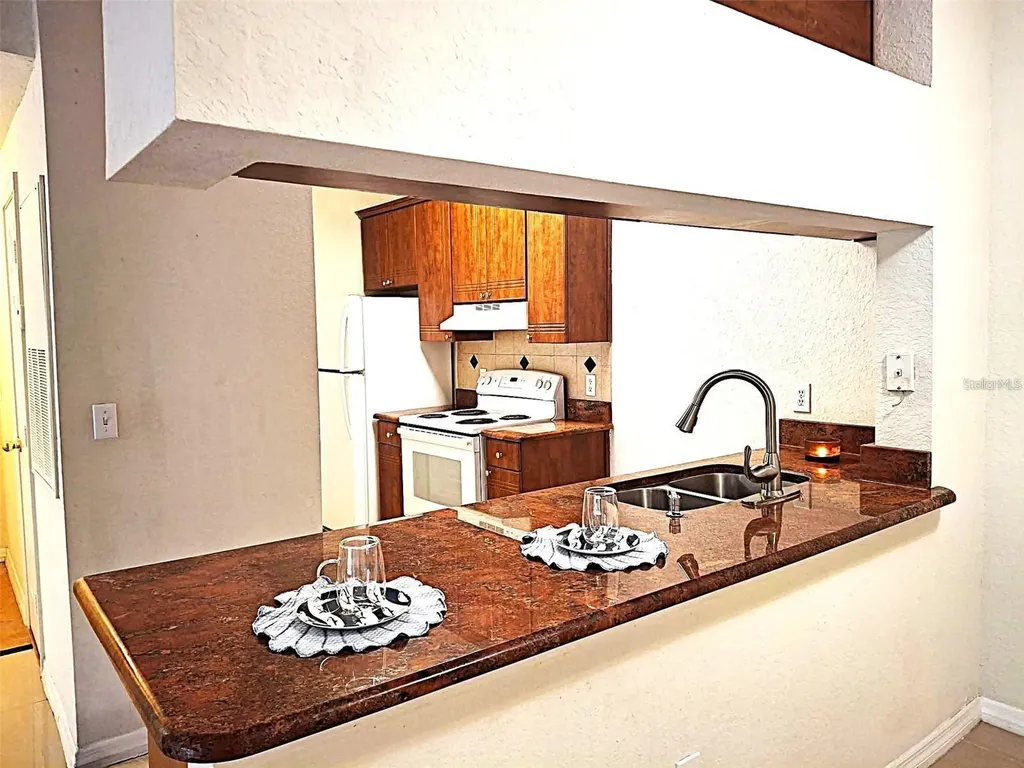 13304 Sanctuary Cove Tampa FL 33637