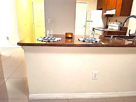 13304 Sanctuary Cove Tampa FL 33637