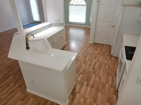 12125 Knotty Pine Loop San Antonio FL 33576