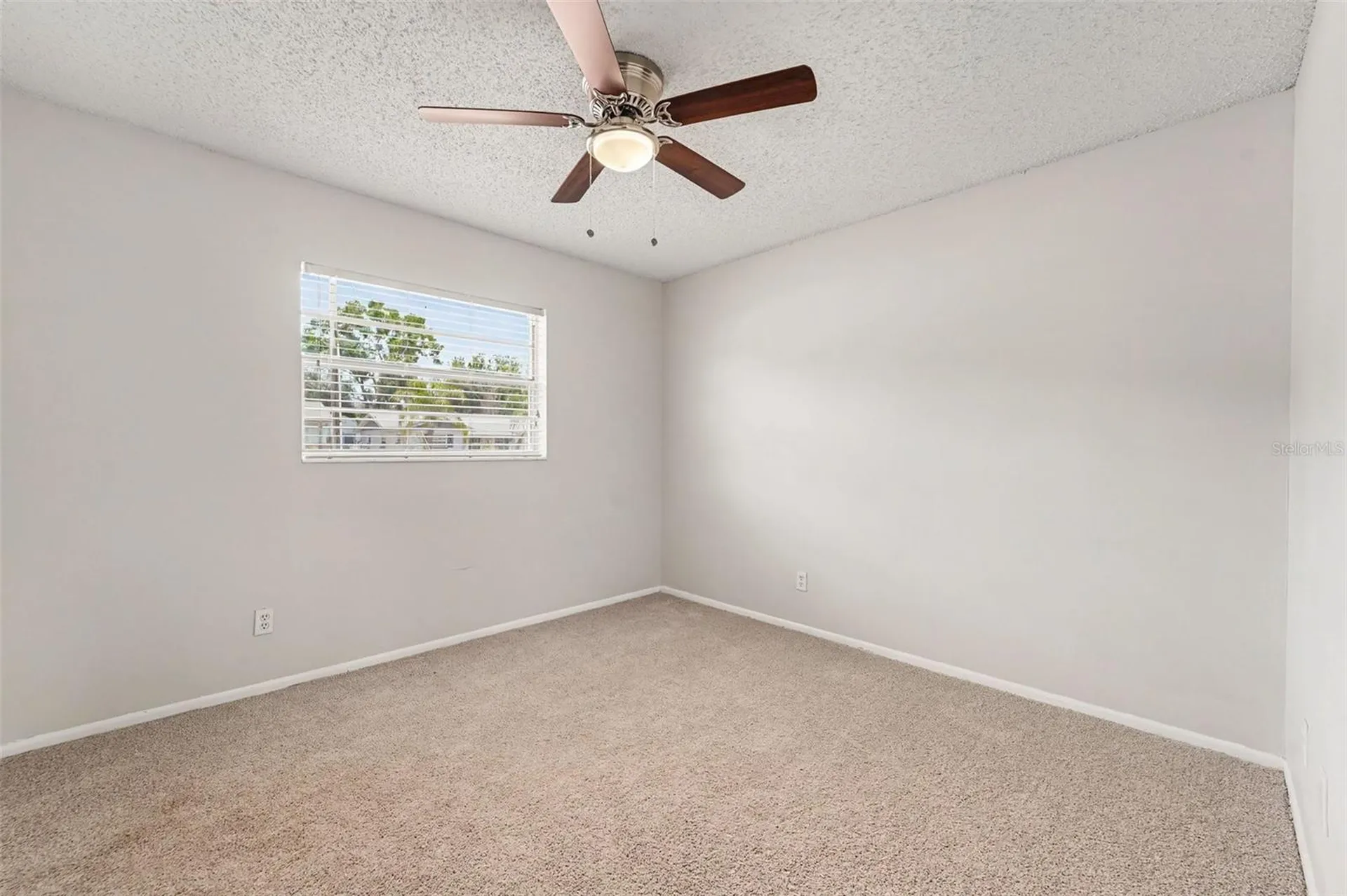8308 Oleander Lane Tampa FL 33637