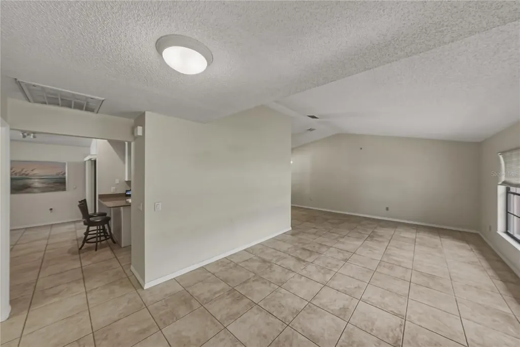1737 Shady Leaf Drive Valrico FL 33596