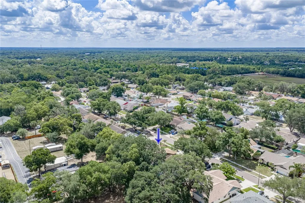 1737 Shady Leaf Drive Valrico FL 33596