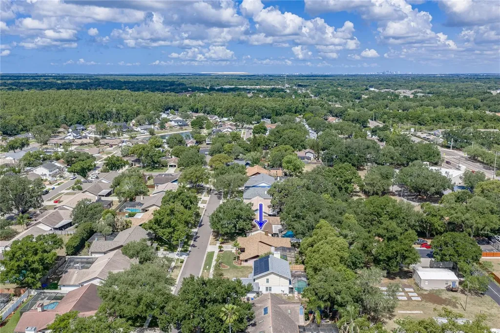 1737 Shady Leaf Drive Valrico FL 33596