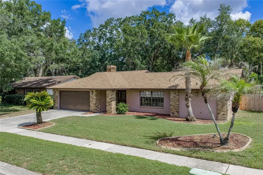 1737 Shady Leaf Drive Valrico FL 33596