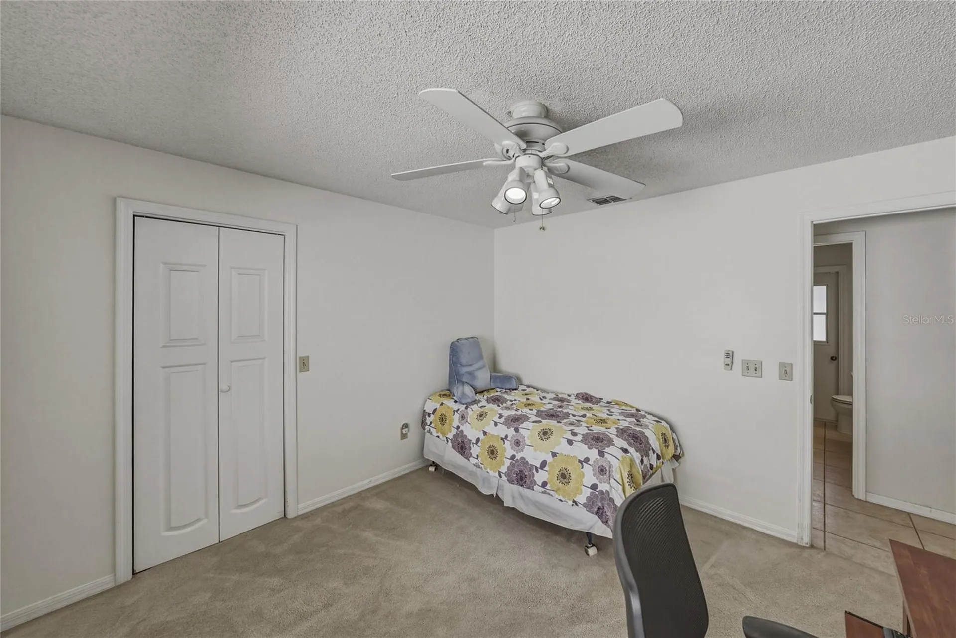 1737 Shady Leaf Drive Valrico FL 33596