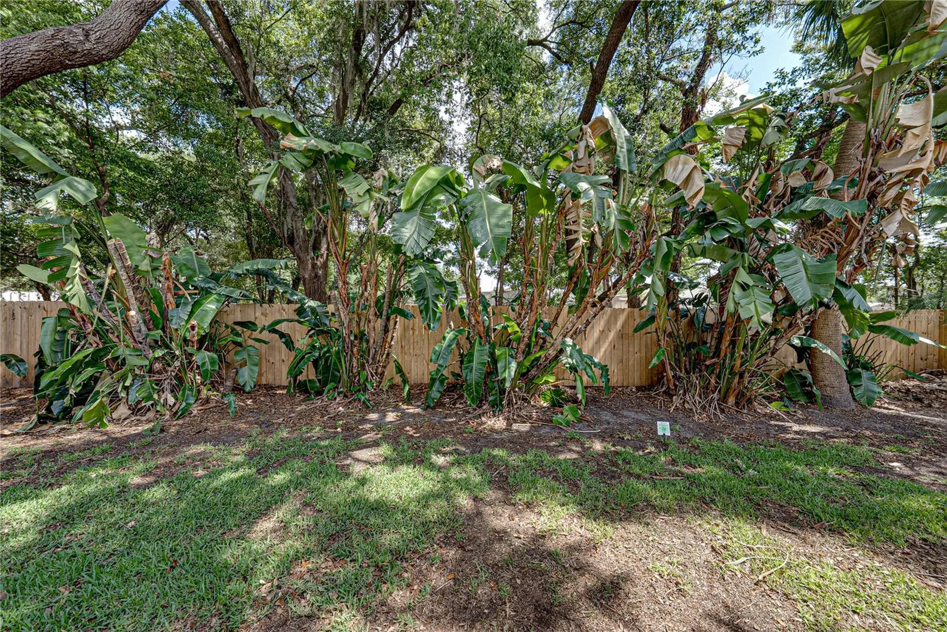 1737 Shady Leaf Drive Valrico FL 33596