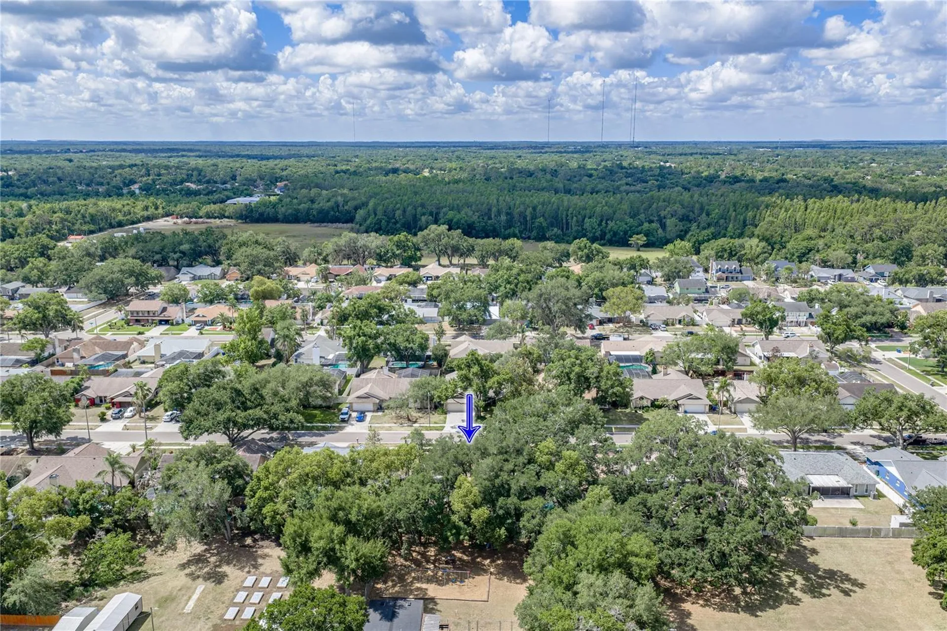 1737 Shady Leaf Drive Valrico FL 33596