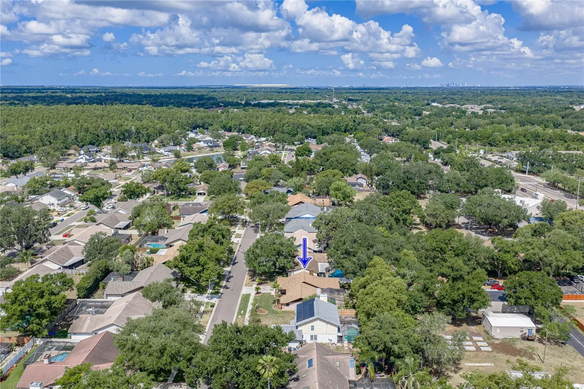 1737 Shady Leaf Drive Valrico FL 33596