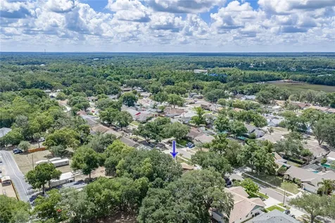 1737 Shady Leaf Drive Valrico FL 33596