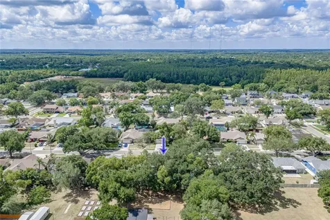 1737 Shady Leaf Drive Valrico FL 33596