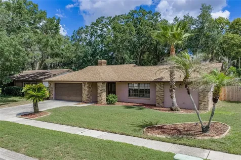 1737 Shady Leaf Drive Valrico FL 33596