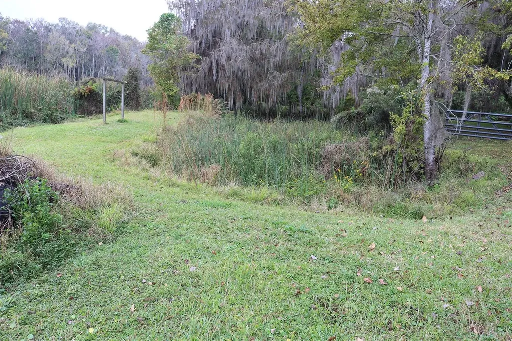 2399 NW 34th Place Lake Panasoffkee FL 33538
