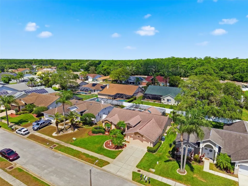 5408 Saltamonte Drive New Port Richey FL 34655