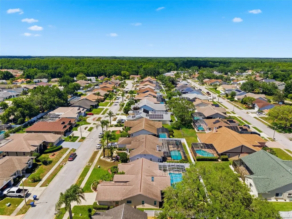 5408 Saltamonte Drive New Port Richey FL 34655