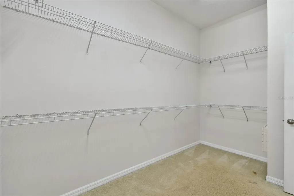 27806 Autumn Breeze Circle Wesley Chapel FL 33544