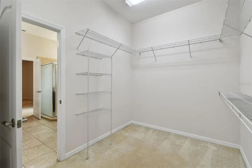 27806 Autumn Breeze Circle Wesley Chapel FL 33544