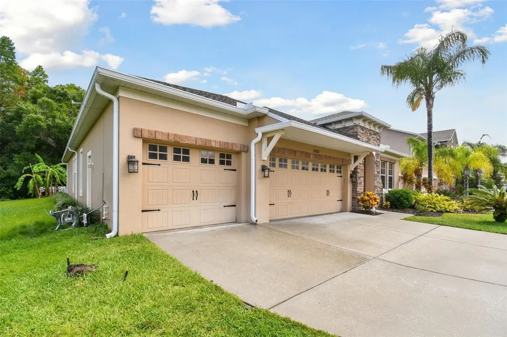 27806 Autumn Breeze Circle Wesley Chapel FL 33544