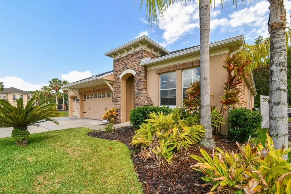 27806 Autumn Breeze Circle Wesley Chapel FL 33544