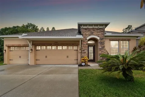 27806 Autumn Breeze Circle Wesley Chapel FL 33544