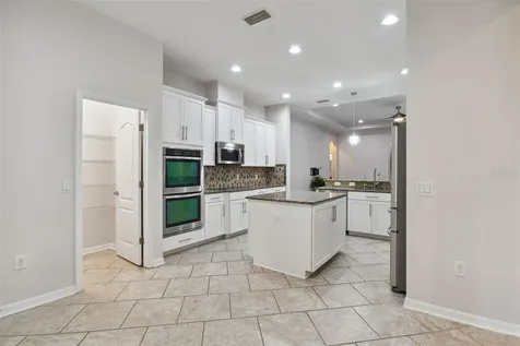 27806 Autumn Breeze Circle Wesley Chapel FL 33544