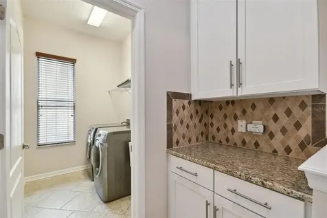 27806 Autumn Breeze Circle Wesley Chapel FL 33544