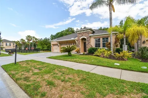 27806 Autumn Breeze Circle Wesley Chapel FL 33544