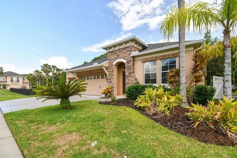 27806 Autumn Breeze Circle Wesley Chapel FL 33544