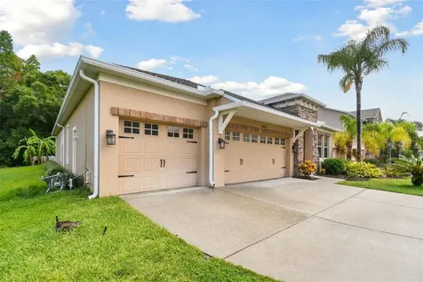 27806 Autumn Breeze Circle Wesley Chapel FL 33544