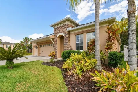 27806 Autumn Breeze Circle Wesley Chapel FL 33544