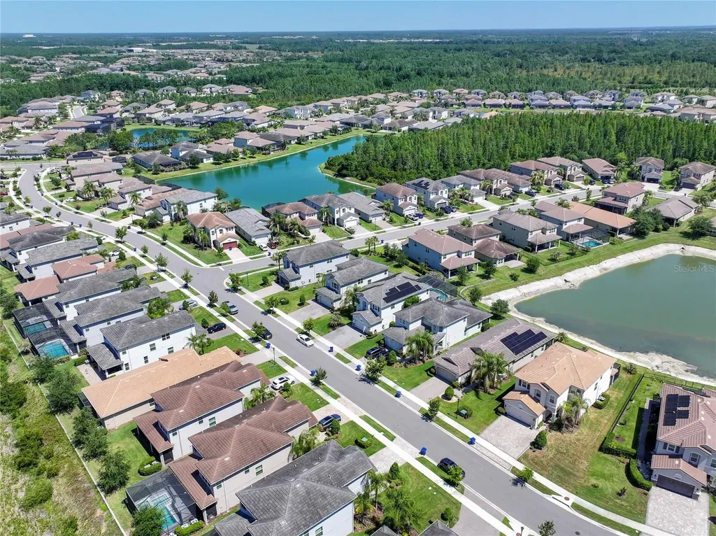 30843 Lindentree Drive Wesley Chapel FL 33543