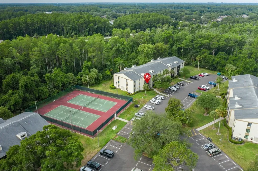 3166 Lake Pine Way S Tarpon Springs FL 34688