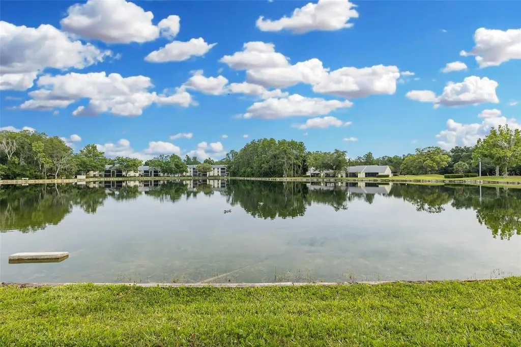 3166 Lake Pine Way S Tarpon Springs FL 34688