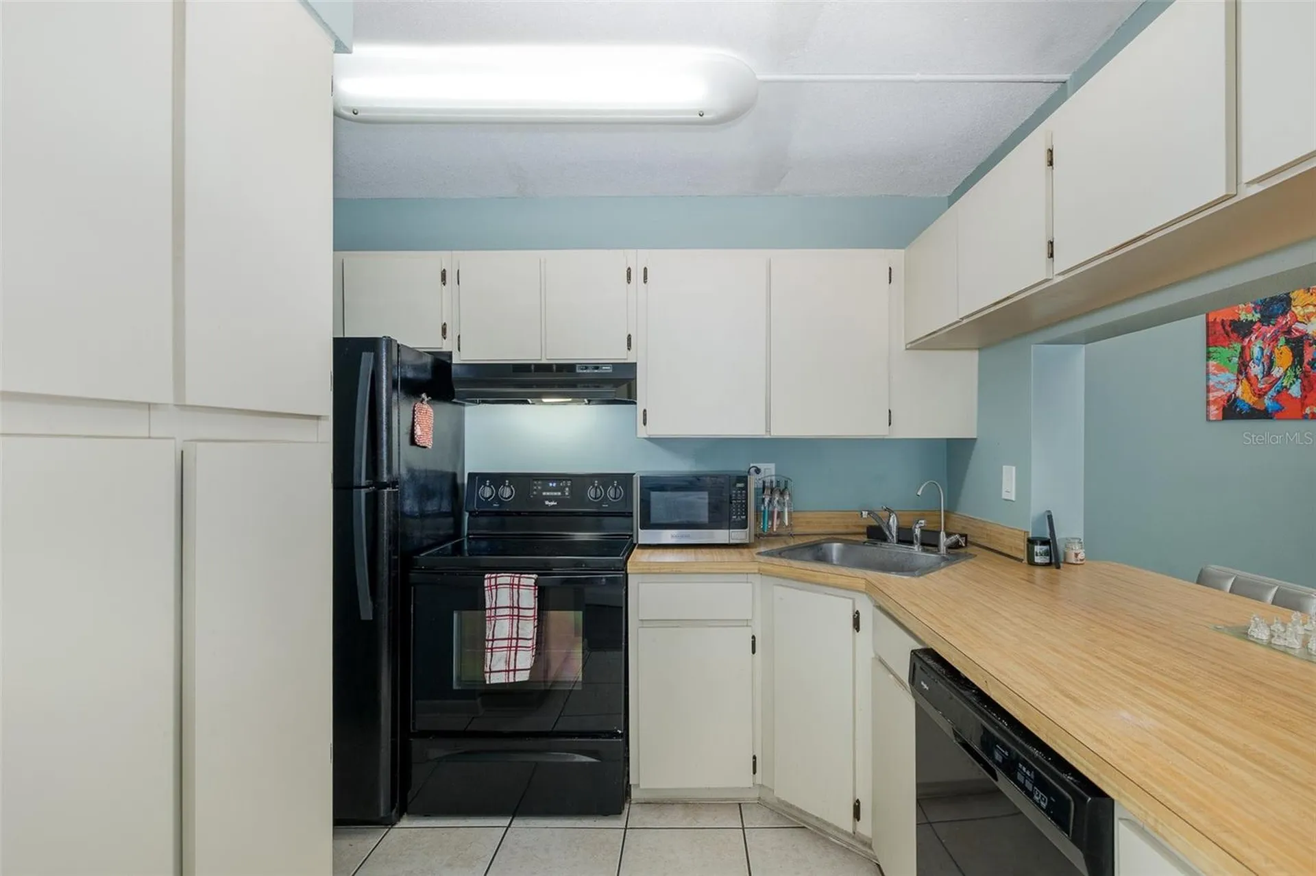 3166 Lake Pine Way S Tarpon Springs FL 34688