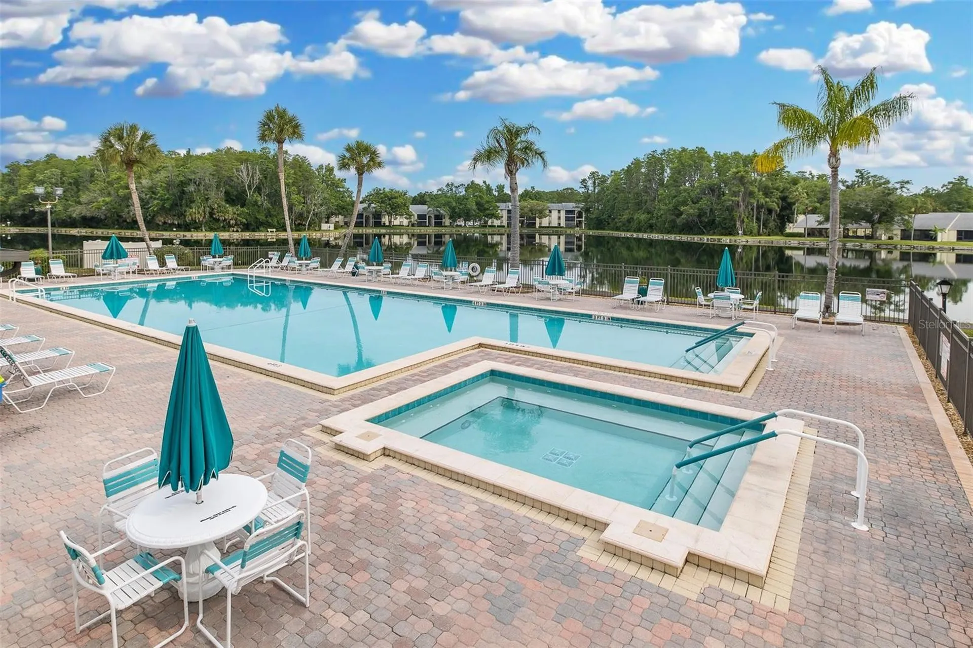 3166 Lake Pine Way S Tarpon Springs FL 34688