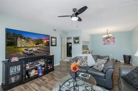 3166 Lake Pine Way S Tarpon Springs FL 34688