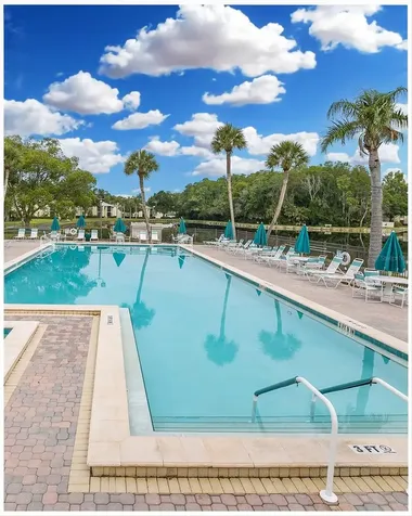 3166 Lake Pine Way S Tarpon Springs FL 34688