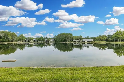 3166 Lake Pine Way S Tarpon Springs FL 34688