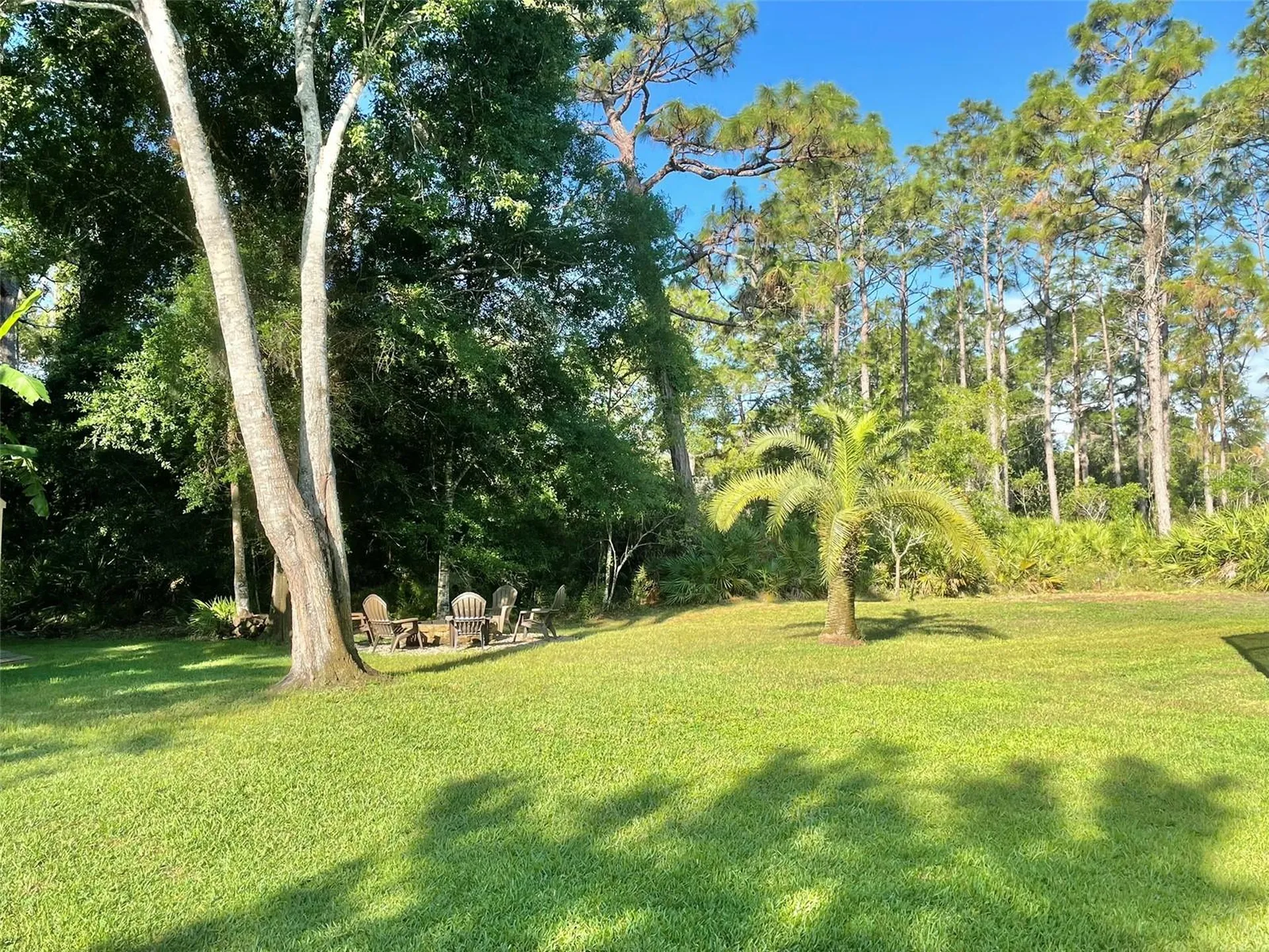 10852 Panicum Court New Port Richey FL 34655