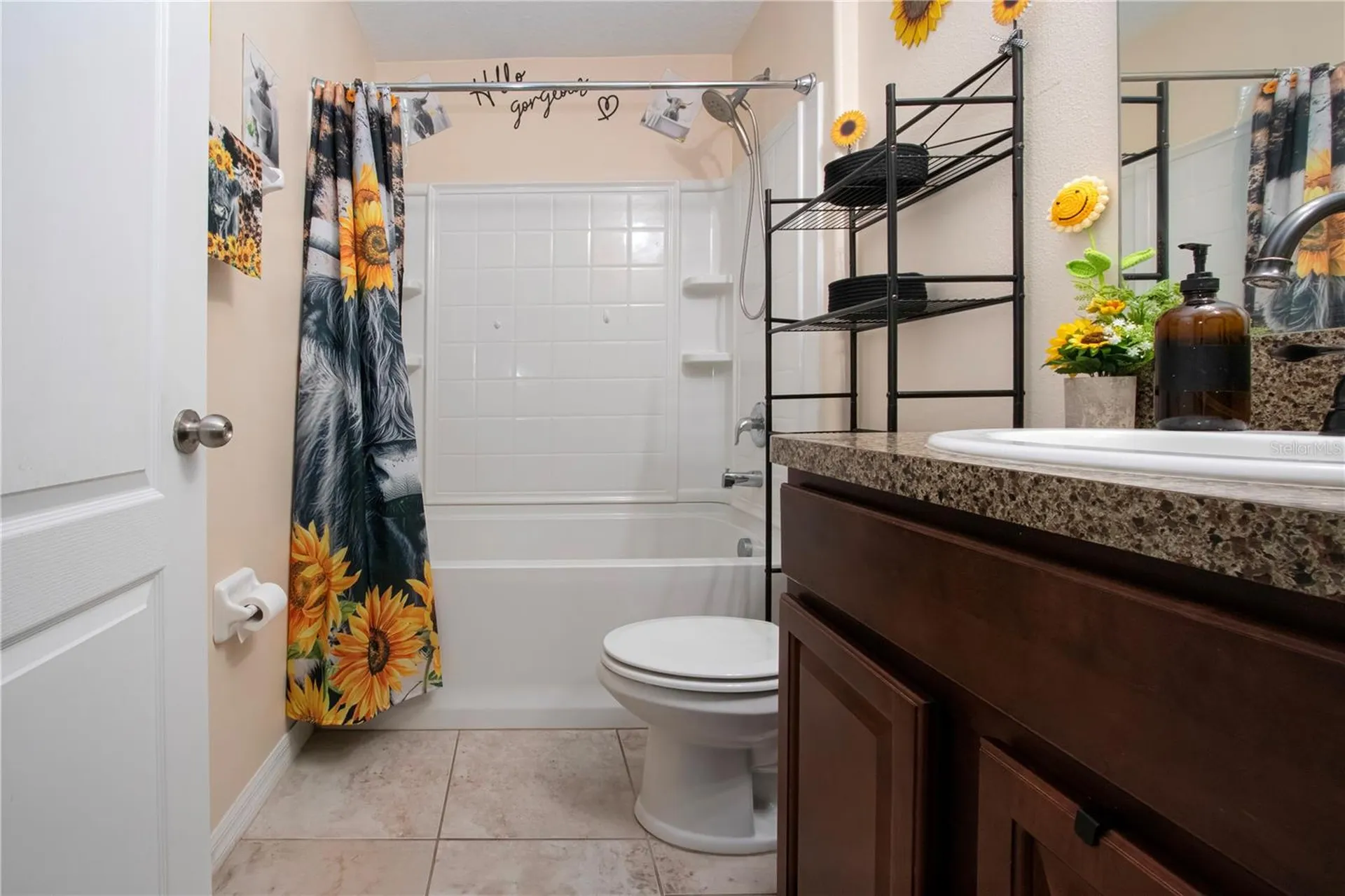 11330 Villas On The Green Drive Riverview FL 33579