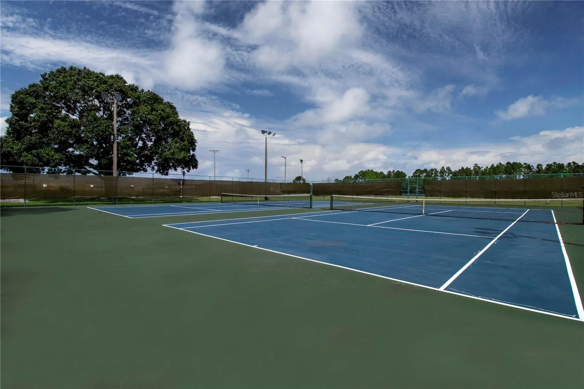 11330 Villas On The Green Drive Riverview FL 33579