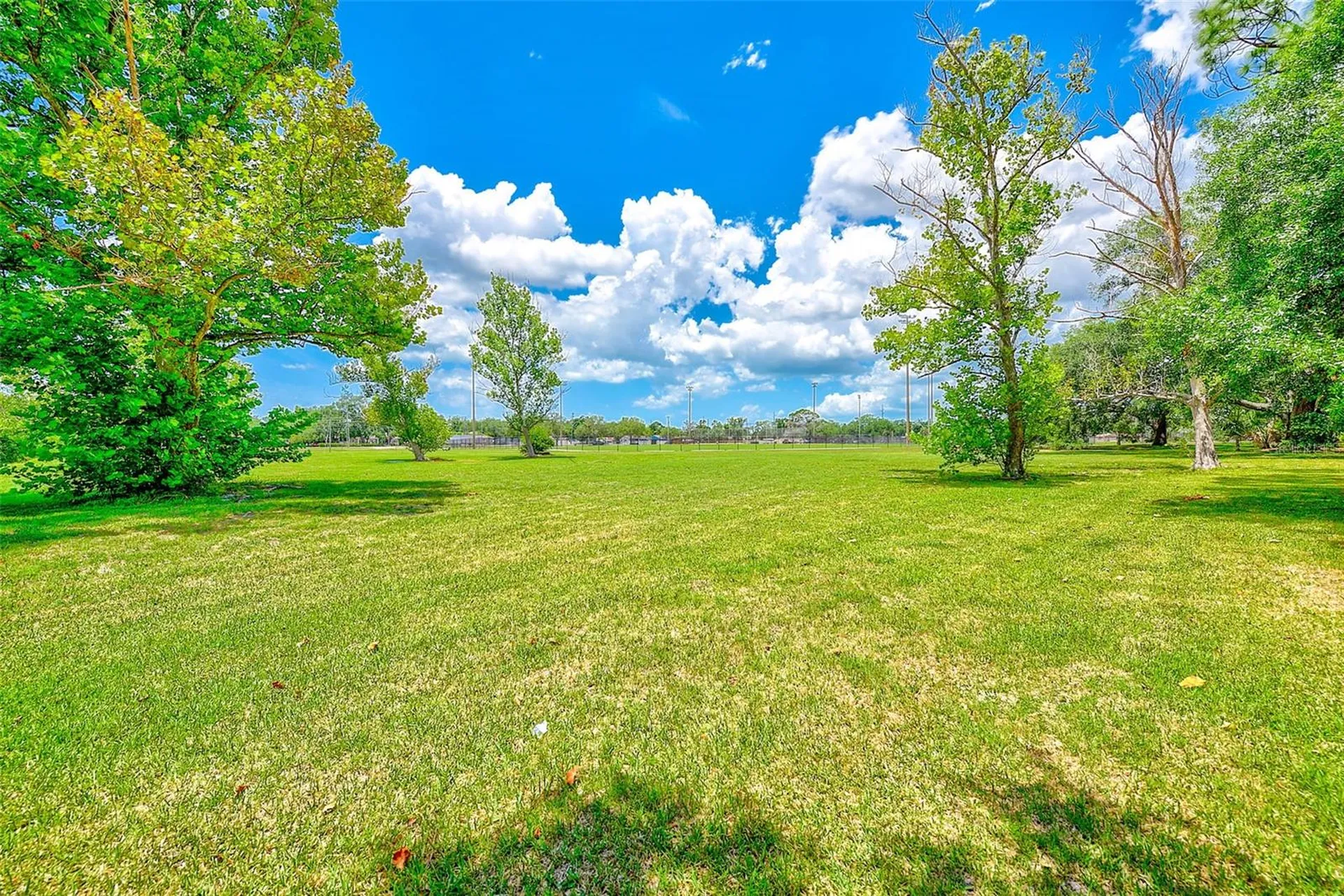 2064 Sunset Point Road Clearwater FL 33765