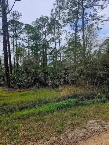 East Parkway Deland FL 32724