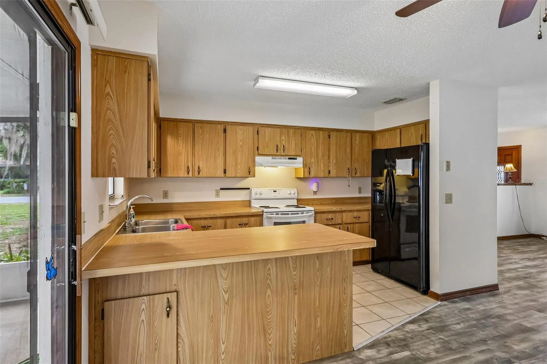 931 Cr 457a Lake Panasoffkee FL 33538