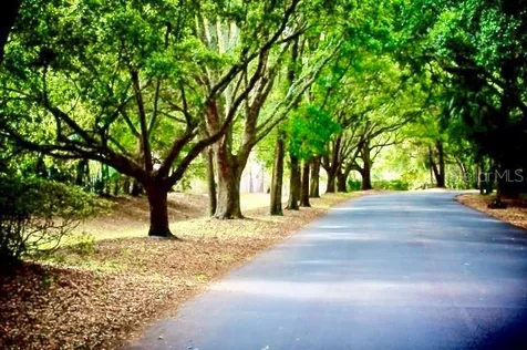 125 Raintree Drive Longwood FL 32779
