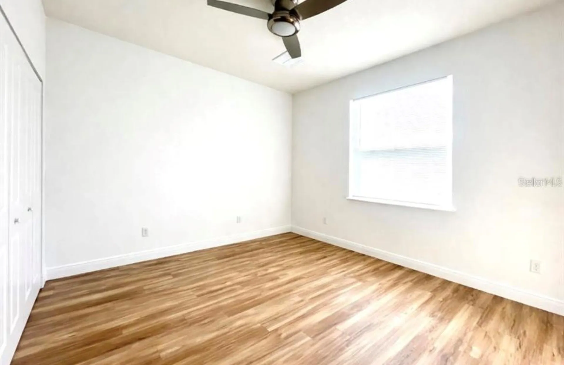 8106 N Greenwood Avenue Tampa FL 33604
