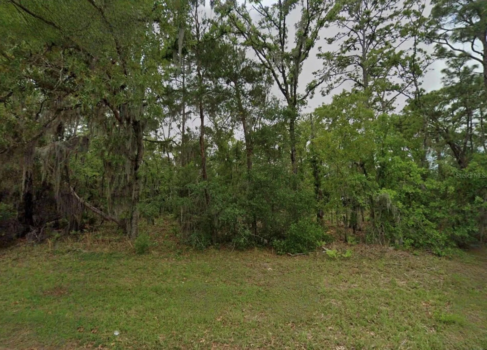 Unassigned Ocala FL 34473