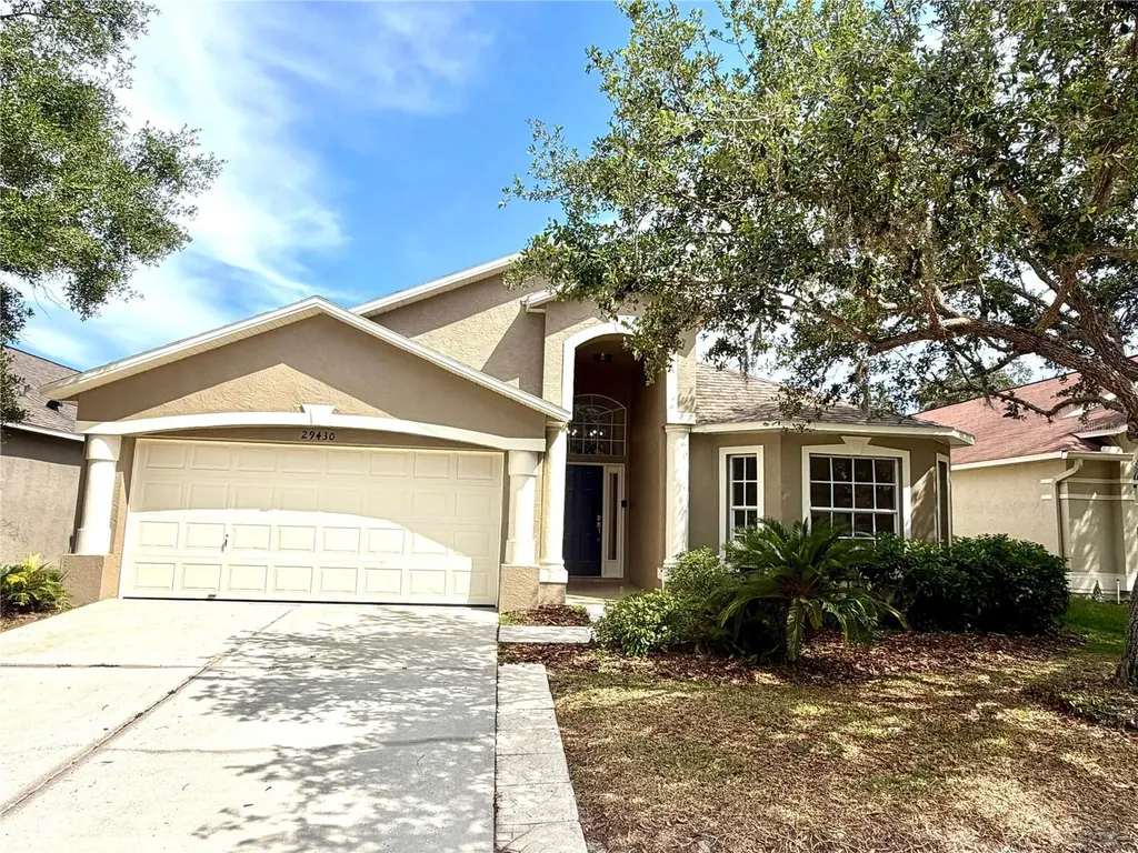 29430 Sea Dahlia Pass Wesley Chapel FL 33543