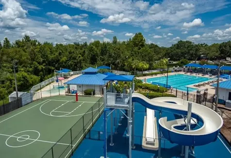 29430 Sea Dahlia Pass Wesley Chapel FL 33543
