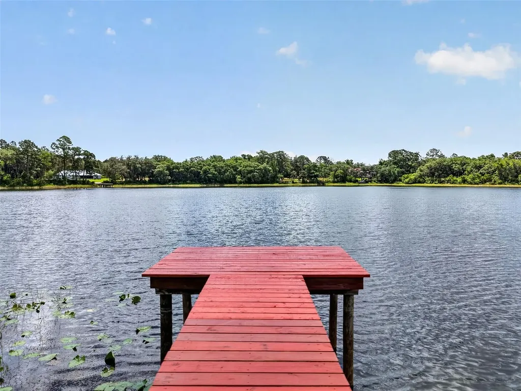 493 Malauka Loop Ocklawaha FL 32179