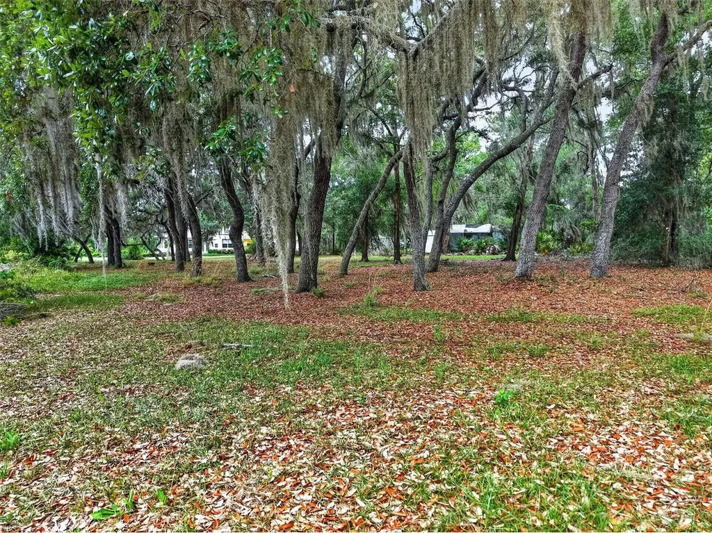 493 Malauka Loop Ocklawaha FL 32179